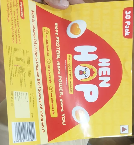 A4 Egg Pamplet